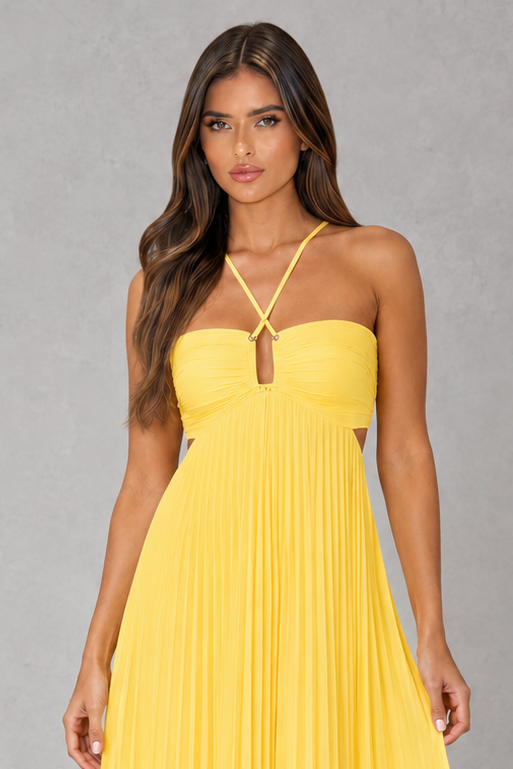 Women’s pleated halterneck maxi dress with crossover neckline, open back, adjustable tie closure and flowing full-length silhouette.
